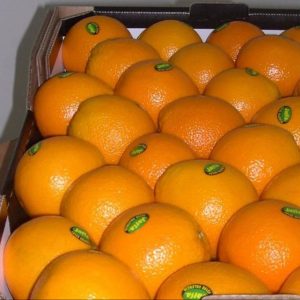 Fresh-Naval-and-Valencia-Oranges-South-African
