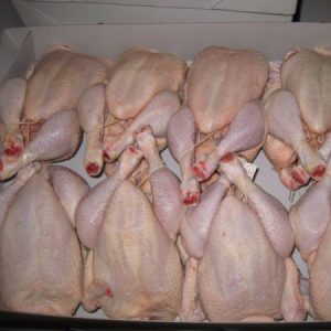 HALAL-FROZEN-CHICKEN-AND-PARTS