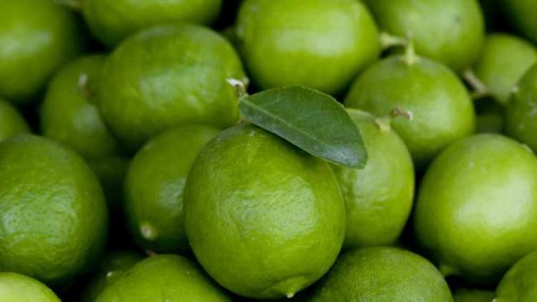 Limes