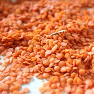 Red-Split-Lentils