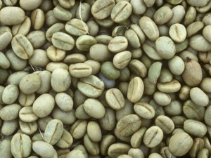 Robusta-Green-Coffee