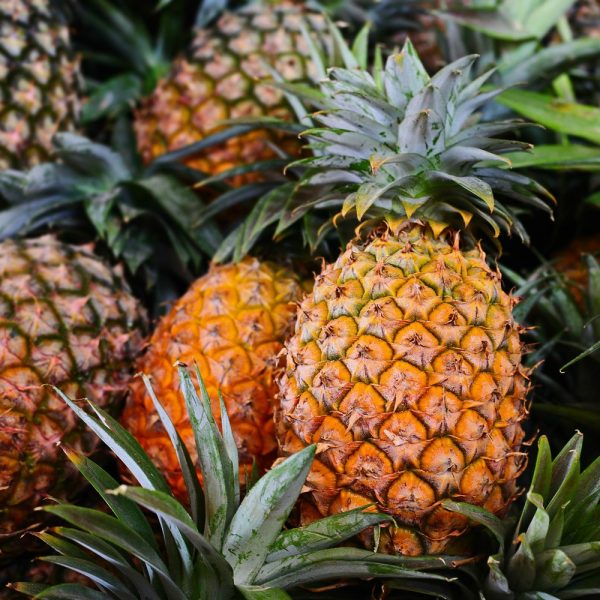 Fresh-quality-Pineapples
