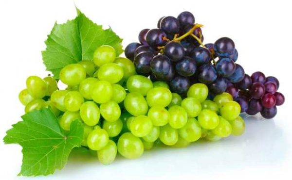 grapes